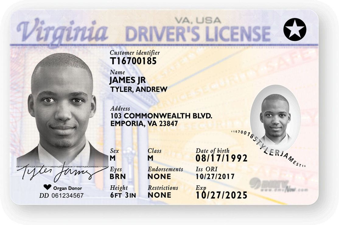 free nc drivers license check